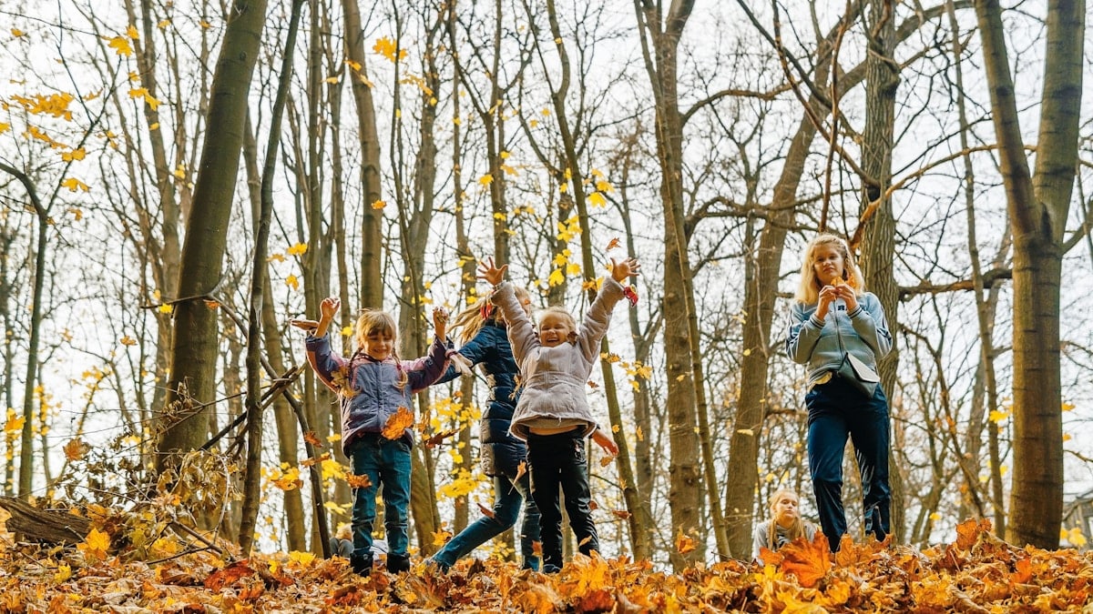 Kids have fun in the autumn park with yellow autumn leaves